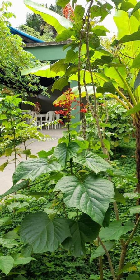 Wikungo Hotel Puerto Nariño Kültér fotó