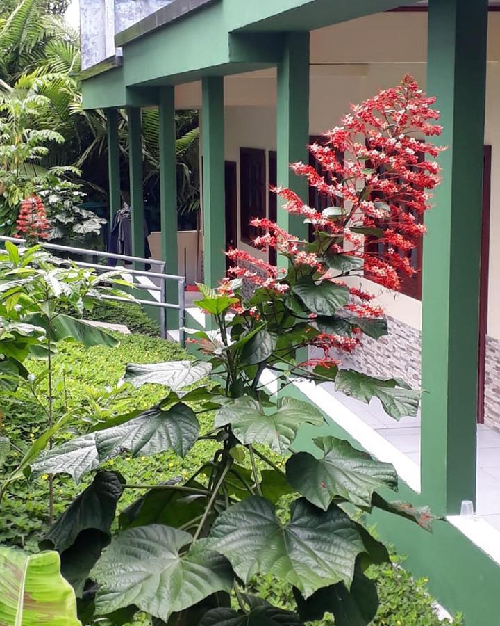Wikungo Hotel Puerto Nariño Kültér fotó