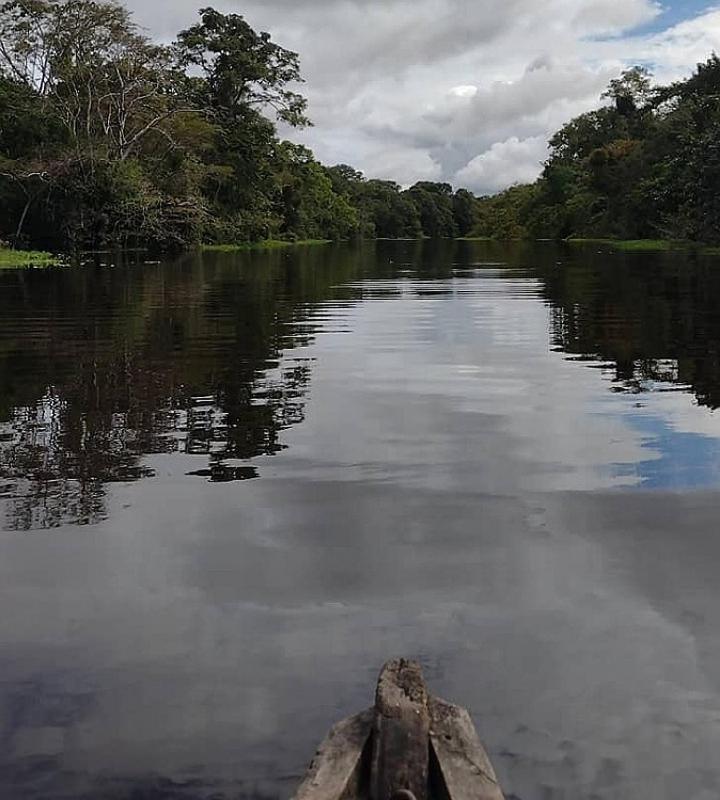 Wikungo Hotel Puerto Nariño Kültér fotó