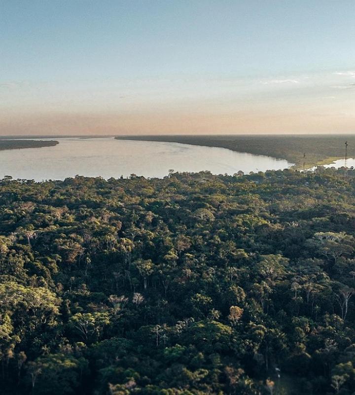 Wikungo Hotel Puerto Nariño Kültér fotó